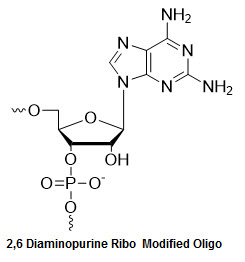 Bio-Synthesis Inc. Oligo Structure